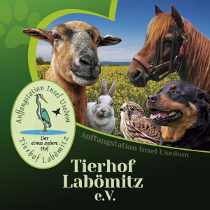 Laboemitz