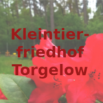 ktftorgelow